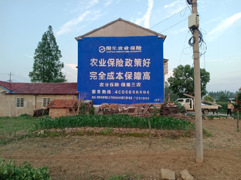 仁怀墙体广告为何受追捧？